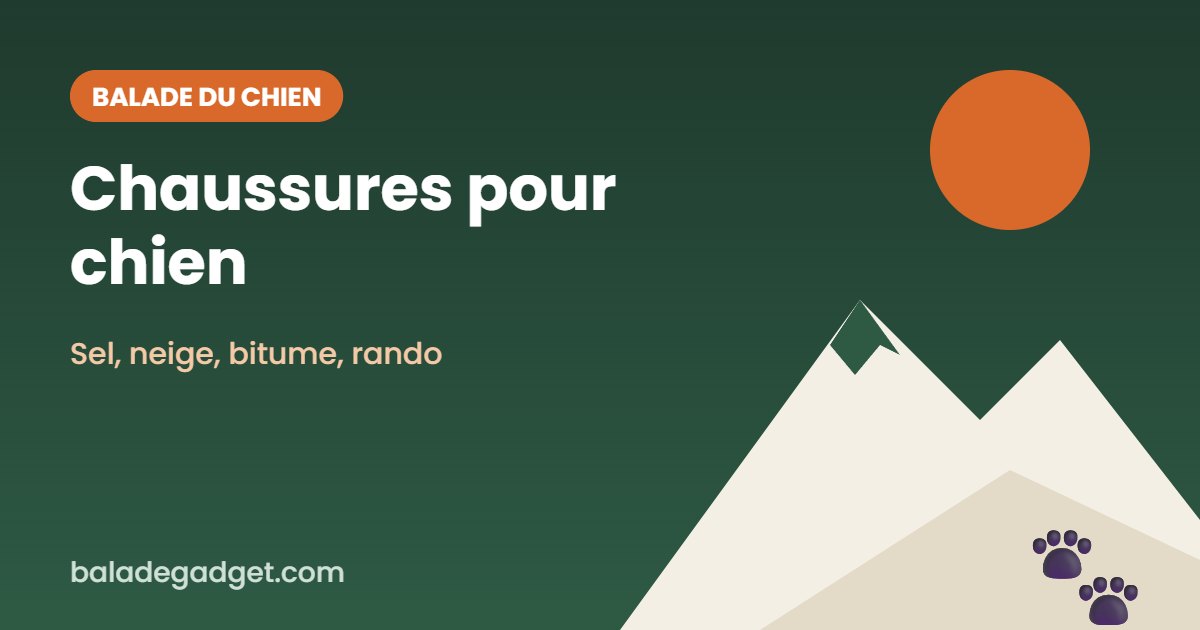 Chaussures pour chien : notre sélection