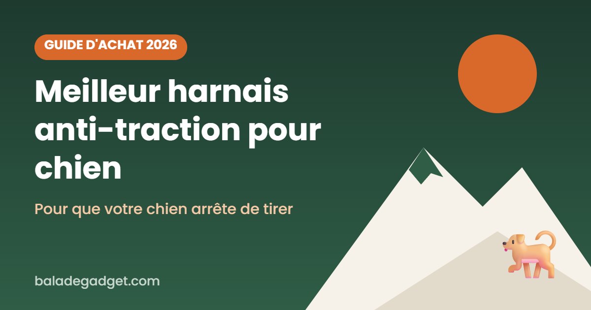 Meilleur harnais anti-traction pour chien en 2026 : notre sélection