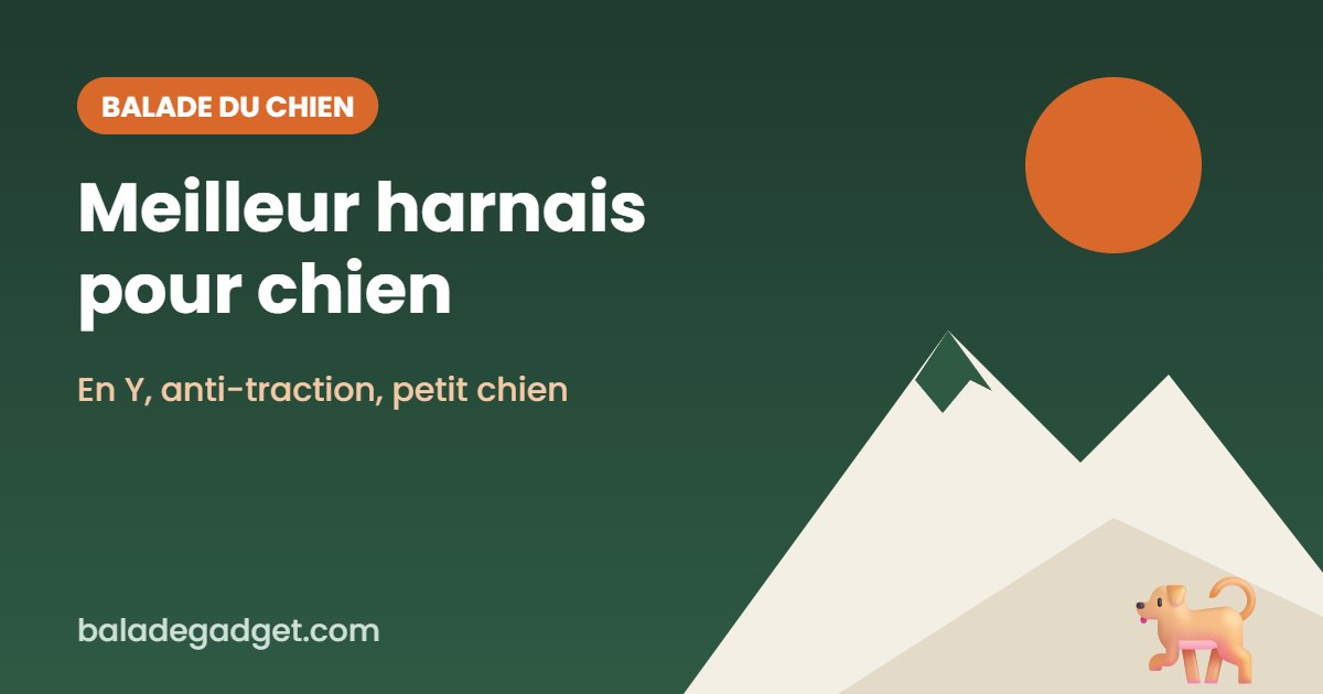 Meilleur harnais pour chien 2026