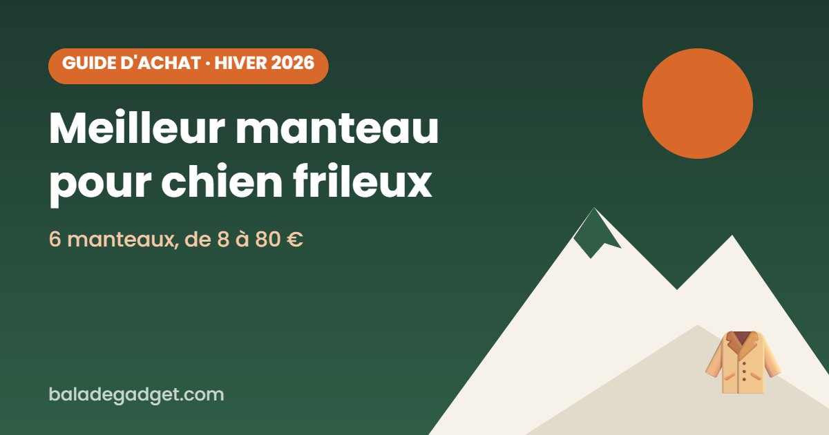 Meilleur manteau pour chien frileux : notre sélection pour l&rsquo;hiver 2026
