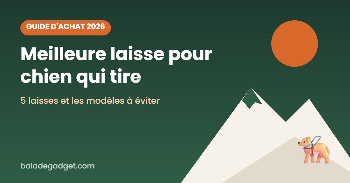 Meilleure laisse pour chien qui tire : notre sélection 2026