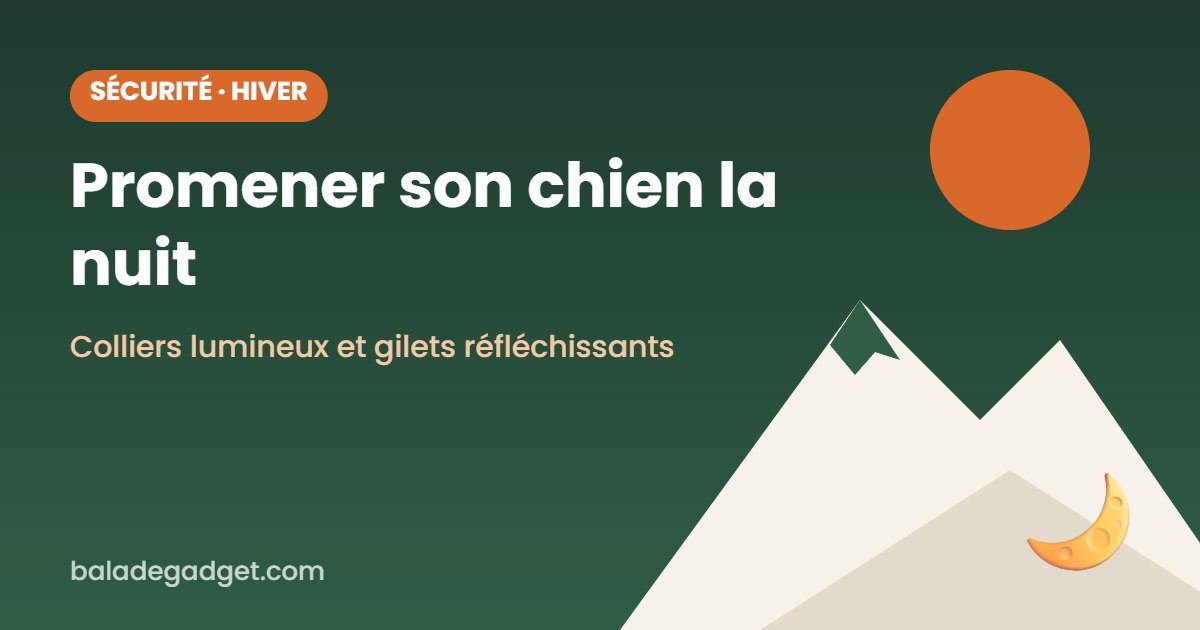 Promener son chien la nuit : les meilleurs colliers et accessoires lumineux
