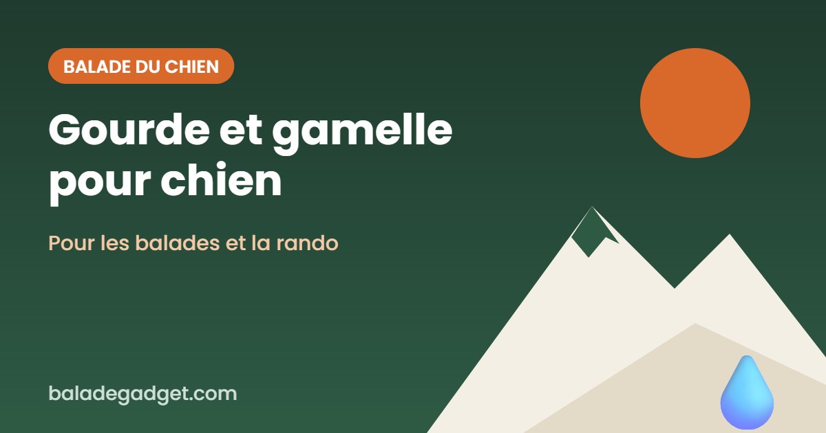 Gourde et gamelle pliable pour chien