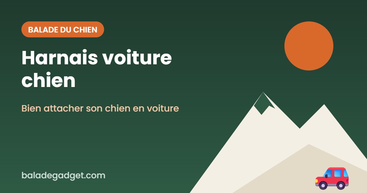 Harnais voiture pour chien