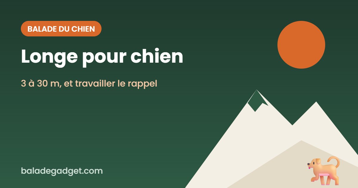 Longe pour chien : notre sélection